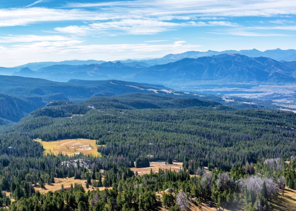 #24. Montana